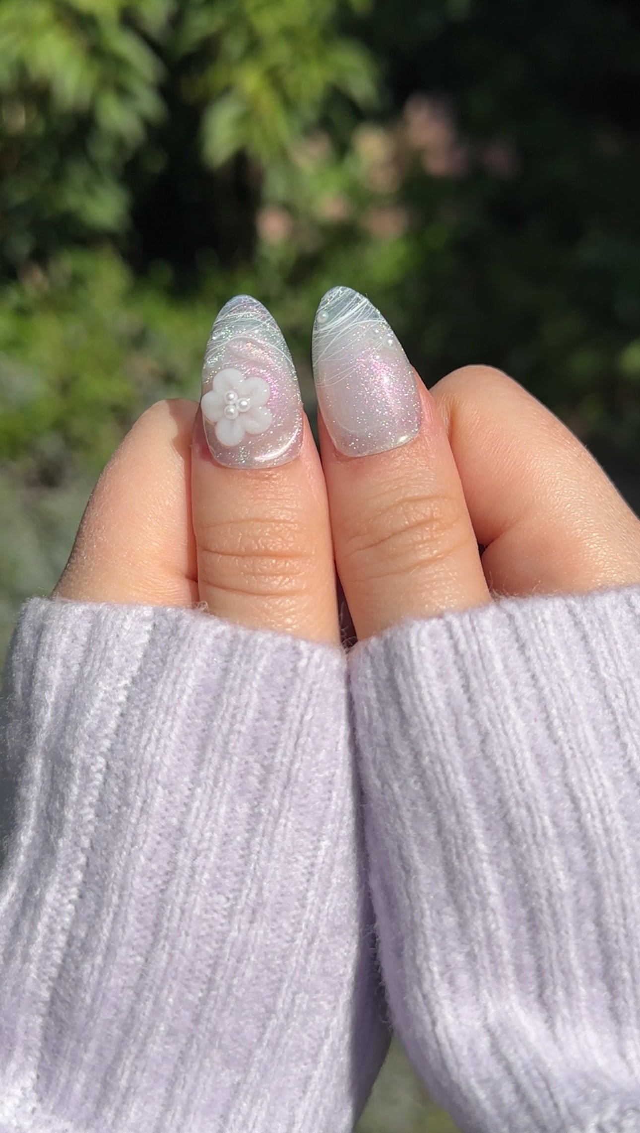 Lavender Field