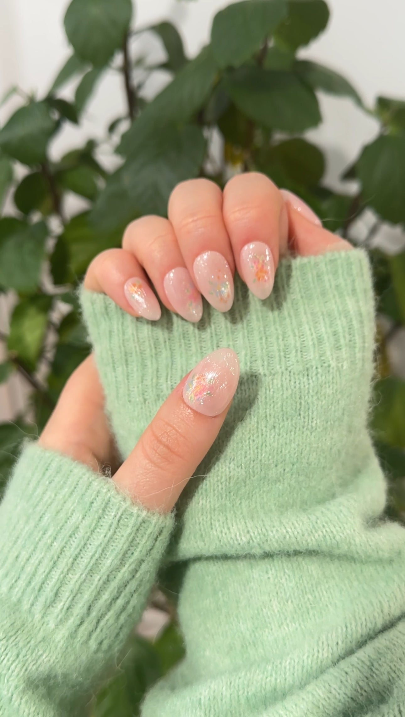 Ivory Botanica