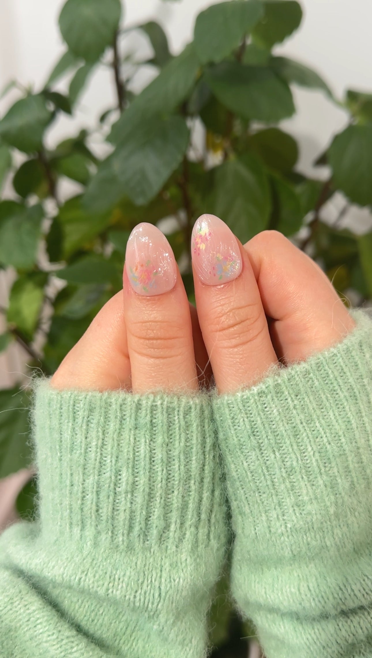 Ivory Botanica