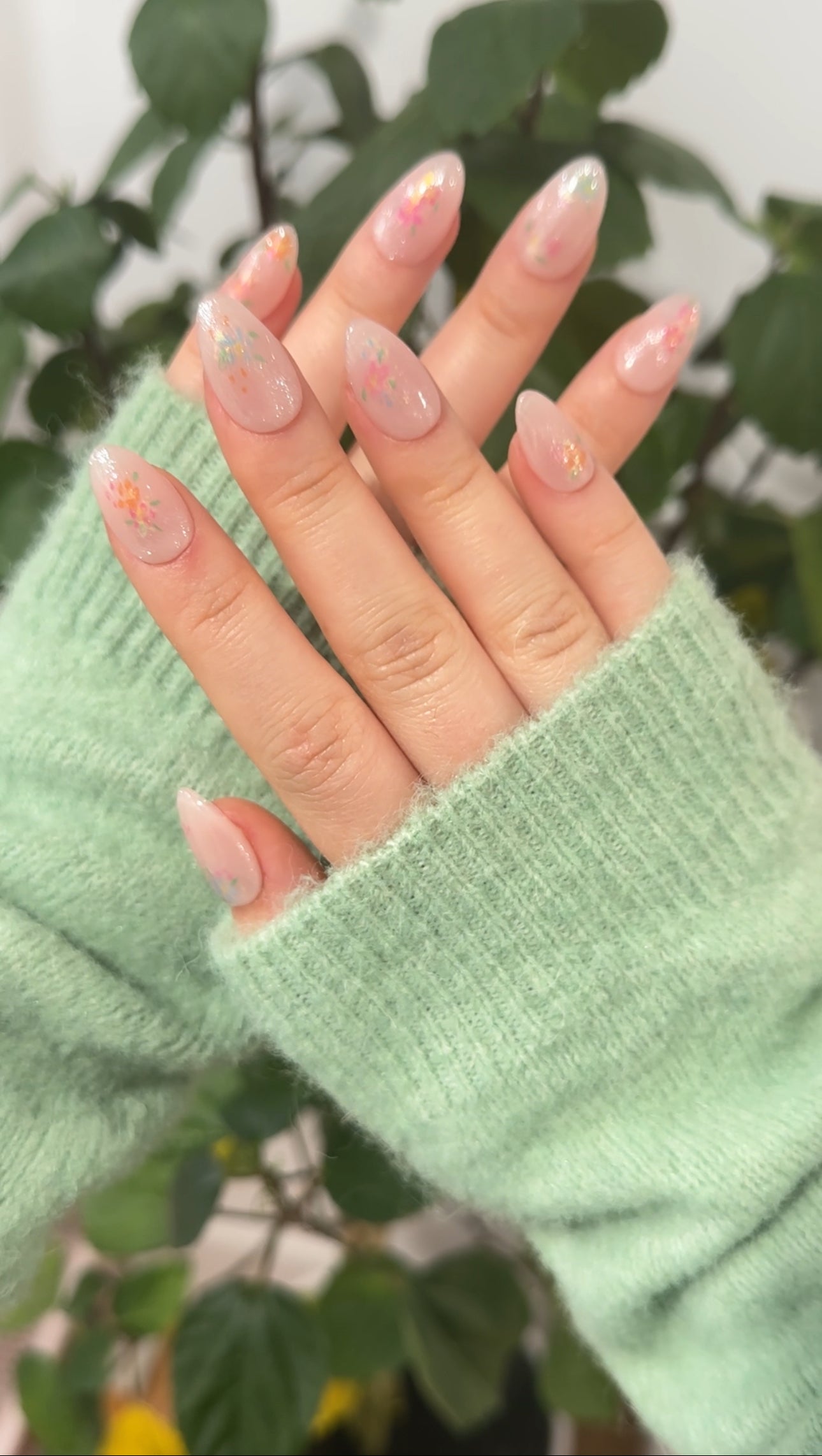 Ivory Botanica