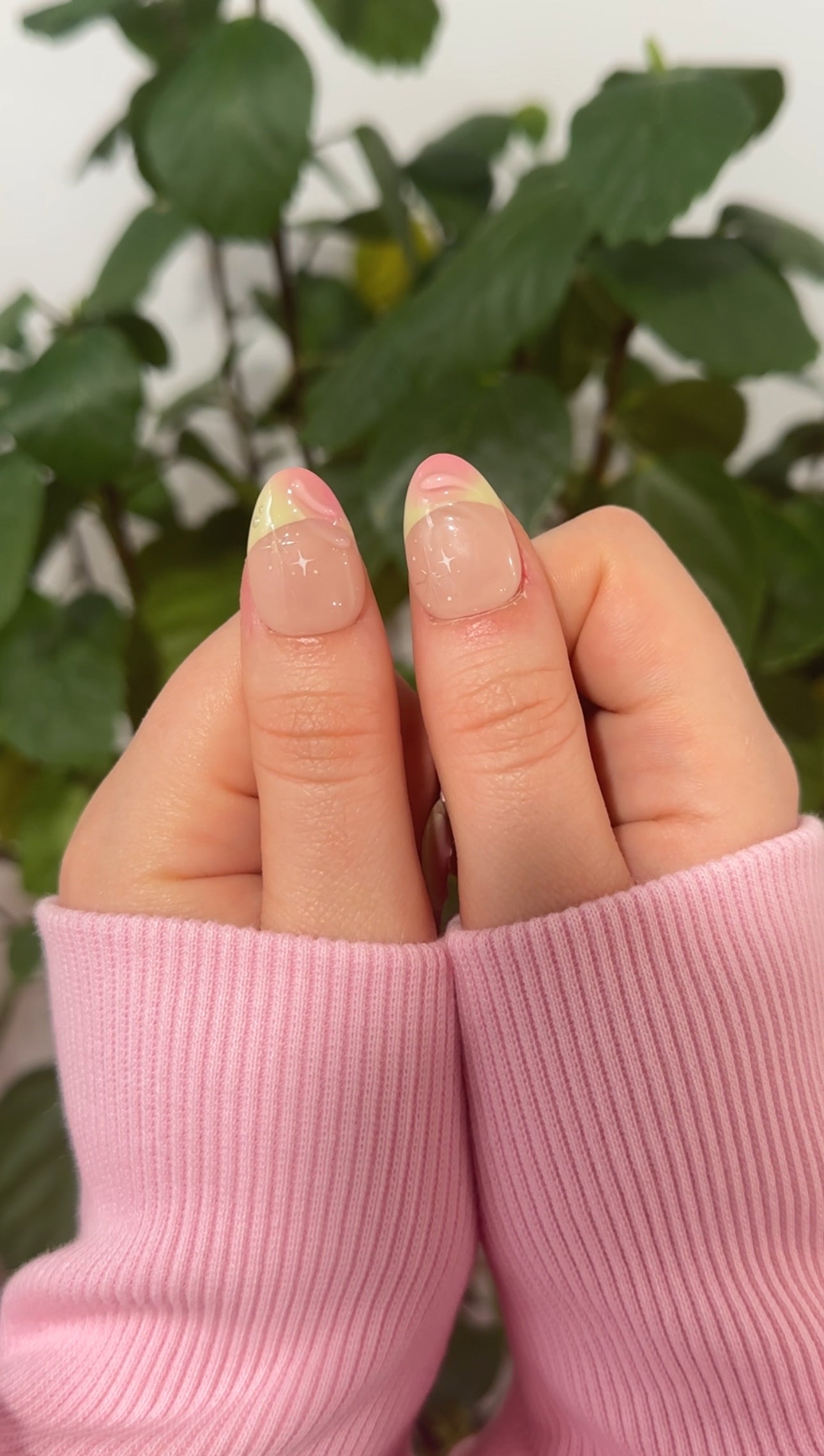When Lilies Wish Upon Stars